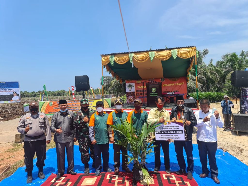 Tanam Perdana PKSP, Wabub Bengkalis: Terimakasih Pak Jokowi Berikan Dukungan Kepada Petani