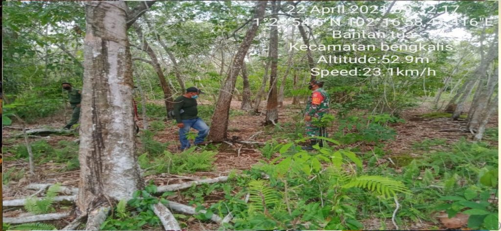 Sertu Sinambela Laksanakan Kegitan Rutin Patroli Karhutla di Desa Bantan Tua