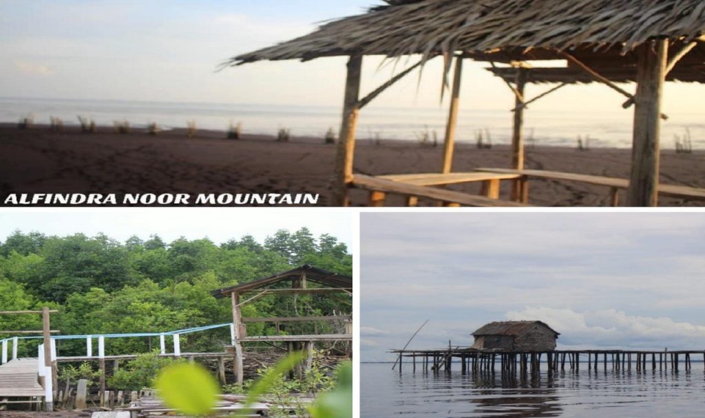 200 Juta Dana Desa Sebauk, Pengadaan Taman Wisata Hutan Manggrove Terbuang Sia-sia