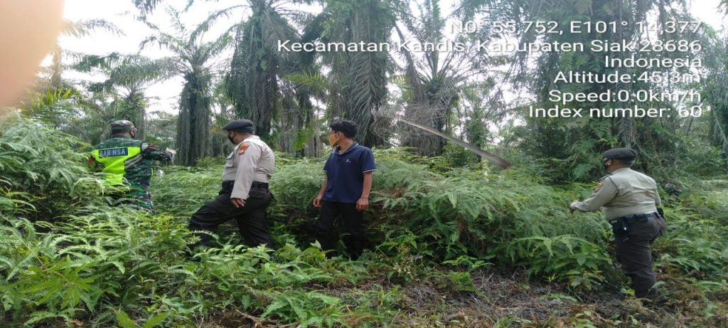 Babinsa dan Bhabinkamtibmas Lakukan Partroli Bersama Keareal Perkebunan Warga Kampung Libo Jaya