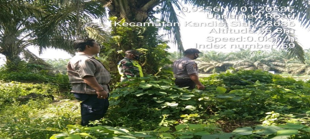 Pelda Rahman S dan Bhabinkamtibmas Kandis Laksanakan Patroli Serta Himbaunan Karhutla