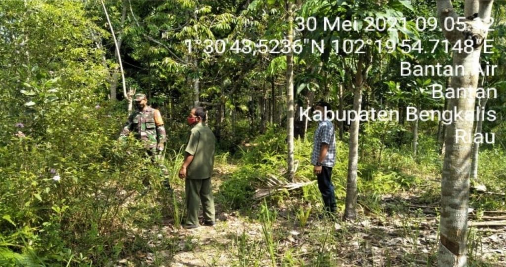 Serda CF.Sinambela Lakukan Secara Rutin Patroli Karhutla di Wilayah Koramil 01/Bengkalis