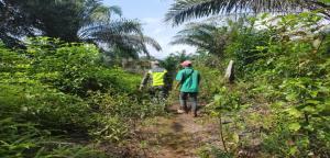 Babinsa Koramil 09/Minas Melaksanakan Kegitan Rutin Patroli Karhutla di Kampungn Olak