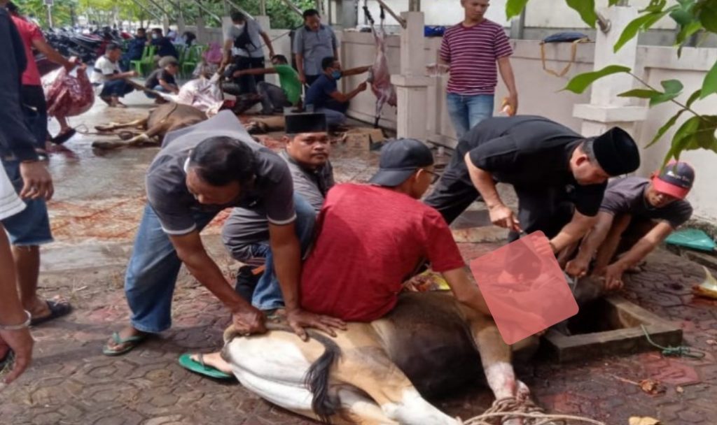 Idul Adha 1442 H / 2021 M, Iskandar Izhar Ikuti Pemotongan Hewan Qurban di Dua Mesjid Desa Senggoro