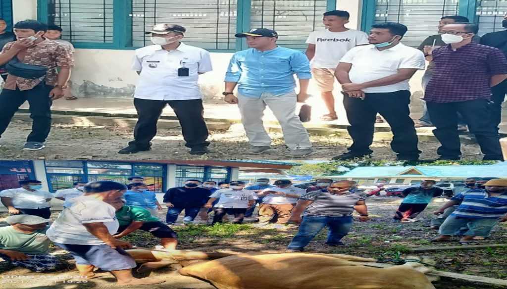 Alhamdulillah, Tahun ini DPD KNPI Riau Melaksanakan Ibadah Qurban 3 Ekor Sapi dan 1 Ekor Kambing