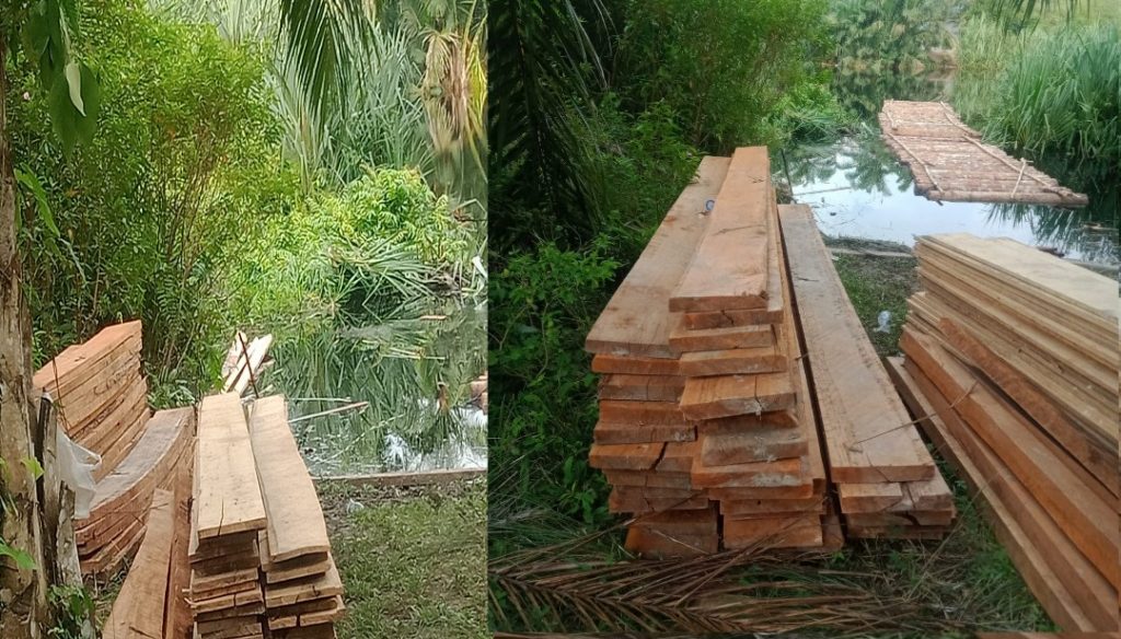 Perambahan Hutan Marak di Kecamatan Siak Kecil Kabupaten Bengkalis