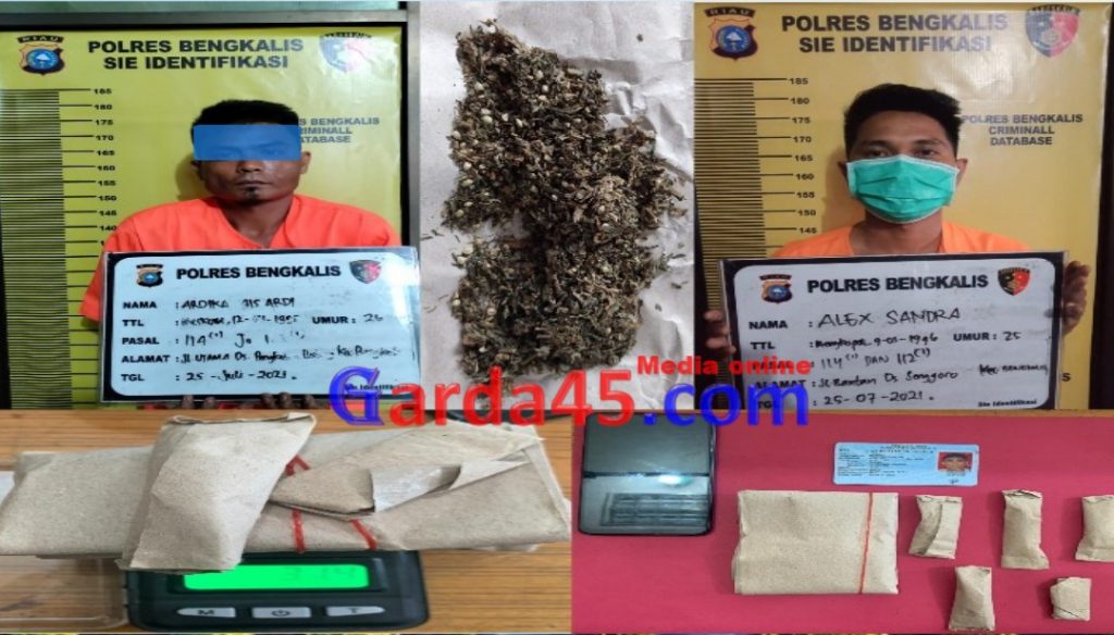 Pengedar Narkotika Jenis Daun Ganja Kering Berat 31,4 gr, Berhasil Diamankan Satres Narkoba Polres Bengkalis