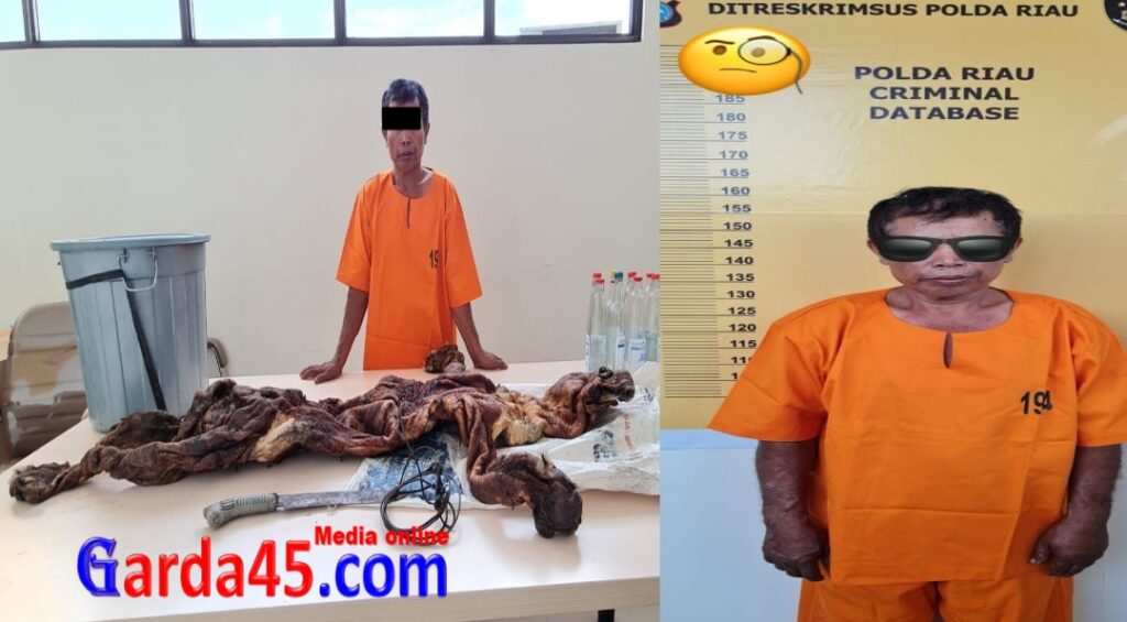 Polda Riau Gagalkan Perdagangan Kulit Harimau, Satu Pelaku Ditangkap