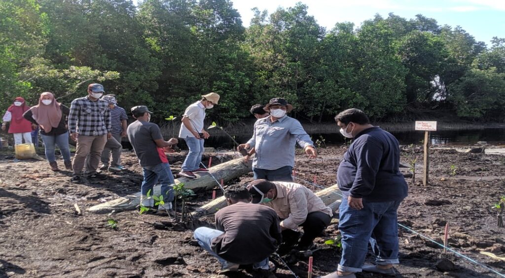 LHK Provinsi Riau Mensosialisasikan Program Adopsi Pohon dan Berikan 2000 Bibit Mangrove