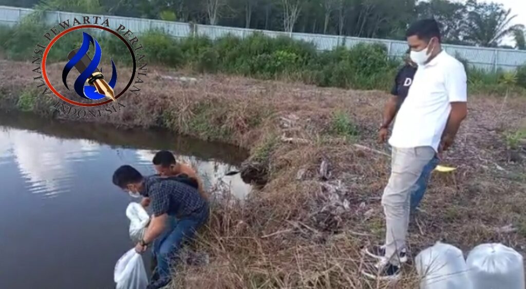 Komitmen Dukung Program Ketahanan Pangan, PT Musim Mas Serahkan 30 Ribu Bibit Lele