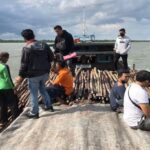 Teks foto : Terliat 1 Kapal bermuatan ribuan batang kayu bakau yang diamankan Satreskrim Polres Kepulauan Meranti