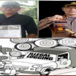 Teks foto : Aktivis Larshen Yunus, AKBP Nurhadi Ismanto dan Ilustrasi Ilegal Loging (Istimewa).