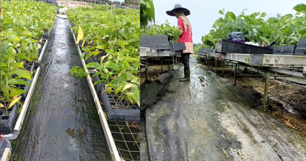 PT. Arthaveda Subkon dari PT. RAPP Diduga tidak Bayar BPJS Tenaga Kerja