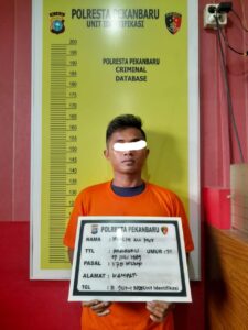 Lakukan Kekerasan, Seorang Pelaku Di Pekanbaru Diamankan Pihak Kepolisian