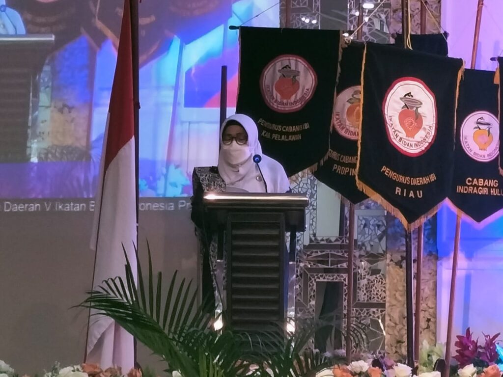 Ketua IBI Riau : Bidan Membantu Pemerintah Menurunkan Angka Kematian Ibu Dan Anak