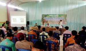 2025, Perusahaan dan Kebun Sawit Wajib Miliki Sertifikat ISPO