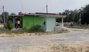 Pabrik Pengolah Brondolan di Tapung Milik H Samuri Diduga Dibiarkan Beroperasi Tanpa Izin, Ada Apa Dengan Pemkab Kampar ???