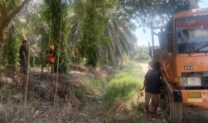 Pemasangan Tiang listrik di Desa Muara Dilam Tahap Proses