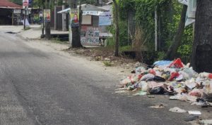 Lagi-Lagi, Sampah Mengguncang Pekanbaru, Teva Iris : Pemko Hanya Bisa Beretorika Dalam Permasalahan Sampah