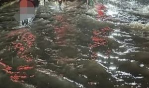 Warga Ngeluh, Diminta PJ Walikota Dapat Ambil Langkah Konkret Dalam Menangani Banjir Yang Telah Lama Menjadi Momok Bagi Warga Pekanbaru