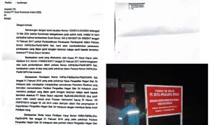 PT.DSI Membayar 26 Milyar Rupiah Kepada PT.Karya Dayun Atas Ganti Rugi Tanaman Kelapa Sawit