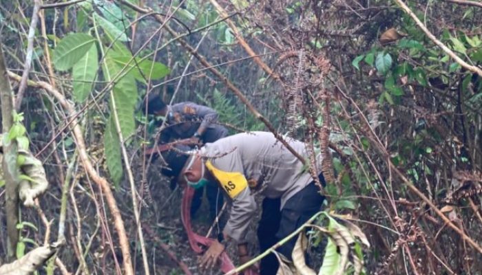 Kebakaran Lahan 2 Hektare di Kampar Nyaris Meluas, Aksi Cepat Petugas Berhasil Jinakkan Api