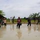 Sinergi Dukung Ketahanan Pangan Nasional, Benih Padi Gamagora 7 Mulai Ditanam di Martapura