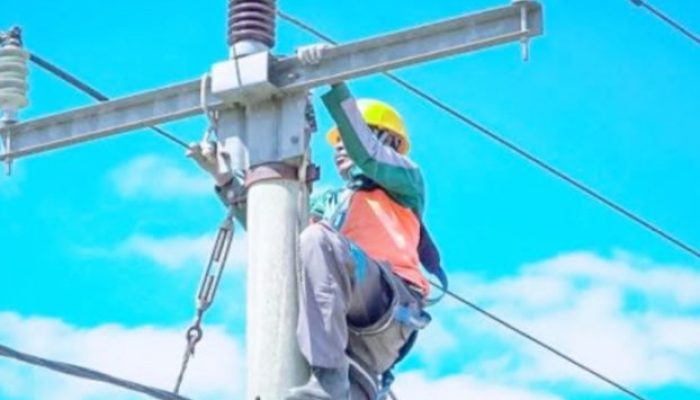 Menteri ESDM Tugaskan PLN Serap Anggaran Tambahan Rp4,35 Triliun untuk Percepat Realisasi