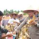 Panen Raya Jagung di Pekaitan Dorong Ketahanan Pangan dan Ekonomi Desa
