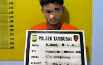 Polsek Tambusai Amankan Karyawan PT Torus Ganda Terkait Penggelapan Sawit