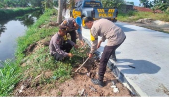 Hari Pohon Sedunia, Polsek Payung Sekaki Tanam Ketapang Kencana dan Tabebuya