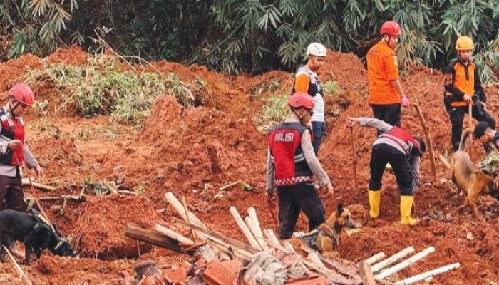 Hari Keempat Pencarian Longsor Cilacap, Tim SAR Fokus pada Empat Sektor dengan Dukungan Peralatan Lengkap