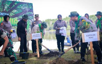 Pemko Pekanbaru Tanam 21 Ribu Pohon dan Lepas 21 Ribu Benih Ikan untuk Wujudkan Green City