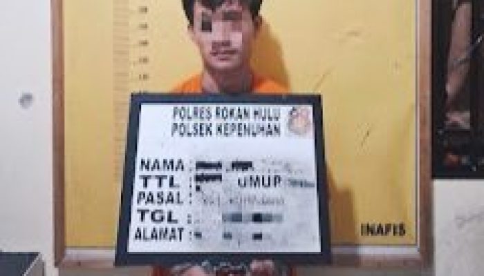 Aniaya Warga di Warung, Pemuda 20 Tahun di Ringkus Polisi