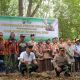 Hari Pohon Sedunia, PT KPI RU II Sungai Pakning Lakukan Penanaman Pohon Serentak di Arboretum Gambut Marsawa