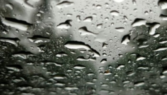 BMKG Ingatkan Potensi Hujan Lebat di Siak, Inhil, Pelalawan, dan Pekanbaru