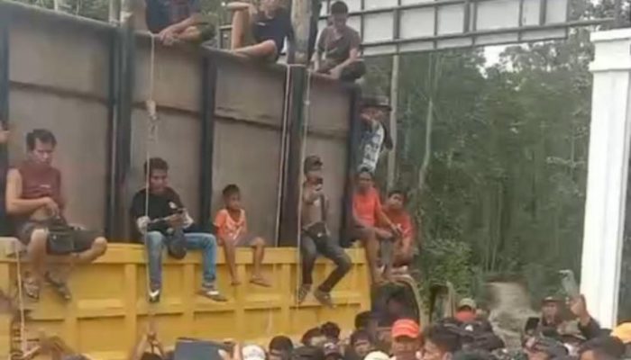 Video Warga Bongkar Plang TNTN, Satgas PKH Diminta Keluar dari Lokasi