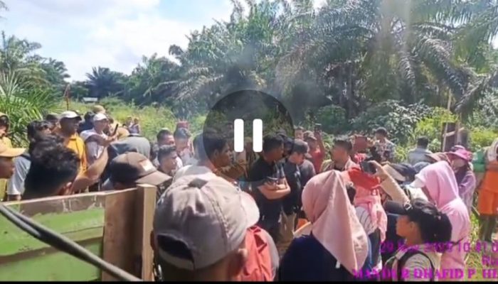 Puluhan Orang Paksa Masuk Lahan PT SIS, Karyawan Bertahan di Garis Depan: “Demi Isi Perut Anak-Anak Kami, Kami Siap Mati!”