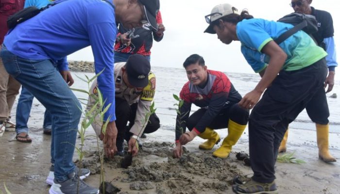 500 Bibit Mangrove Ditanam di Selat Baru, IOM Ajak Nelayan Tolak Penyelundupan