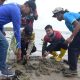 500 Bibit Mangrove Ditanam di Selat Baru, IOM Ajak Nelayan Tolak Penyelundupan