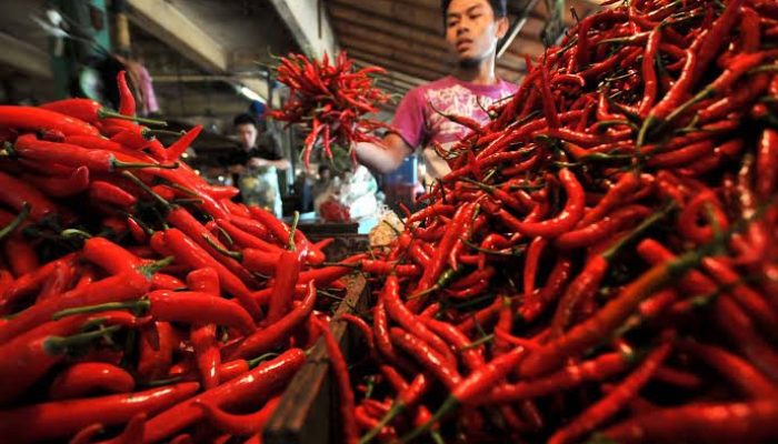 Pasokan Terputus, Harga Cabai Merah di Pekanbaru Tembus Rp120 Ribu/Kg