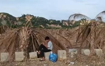 Kebun Sawit Tertimbun Lumpur, Petani Aceh Tamiang Terancam Kehilangan Penghidupan