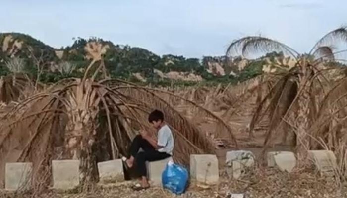 Kebun Sawit Tertimbun Lumpur, Petani Aceh Tamiang Terancam Kehilangan Penghidupan