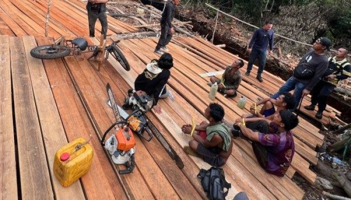 Enam Warga Simpang Gaung Ditangkap Saat Tebang Kayu di Hutan Konsesi PT SPA