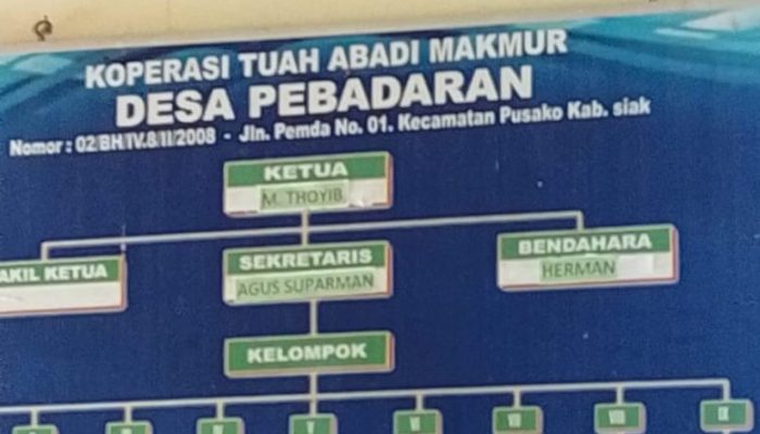 Silaturahmi Strategis Forkorindo Siak Dorong Transformasi Pelayanan Koperasi Tuah Abadi Makmur