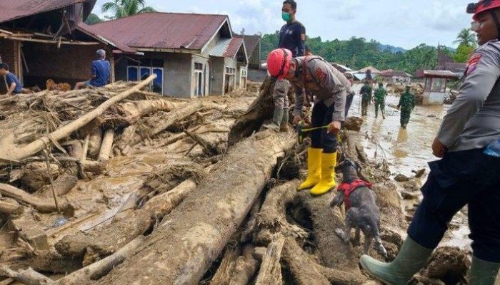 Banjir Bandang Agam: Ratusan Pengungsi Kehilangan Tempat Tinggal, Bantuan Minim