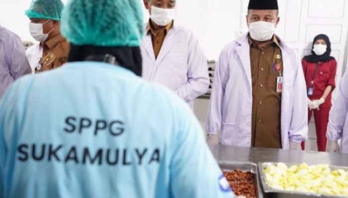 251 Dapur MBG Beroperasi di Riau, Masak Dimulai Pukul 03.00 Demi Gizi Siswa