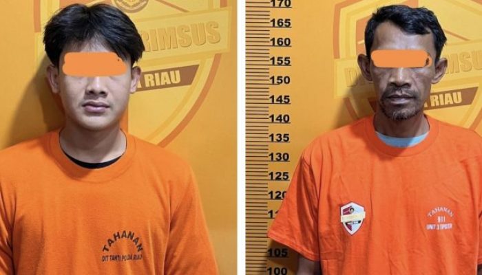 Gagalkan Penangkutan Kayu Tanpa Dokumen, Polisi Sita Truk dan 10 Kubik Kayu di Rokan Hulu