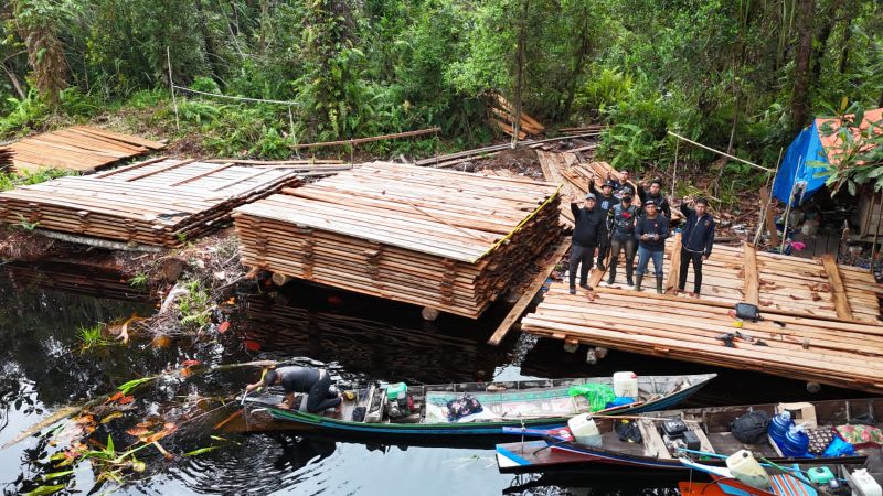 300 Kubik Kayu Ilegal Ditemukan di Jantung Hutan Inhu, Tim Gabungan Susuri Sungai Hingga Jalur Harimau