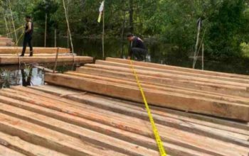 8 Ton Kayu Ilegal Disergap di Sungai Pertas, Satu Pelaku Dibekuk Polres Meranti